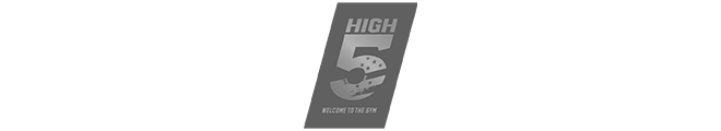 High 5 Logo