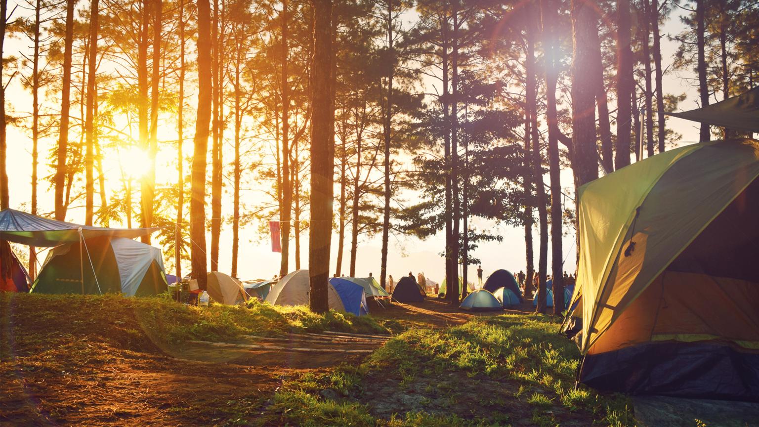 Zelte im Sonnenaufgang in einem Wald, das Licht strömt durch die Bäume, während Menschen das Campen genießen.