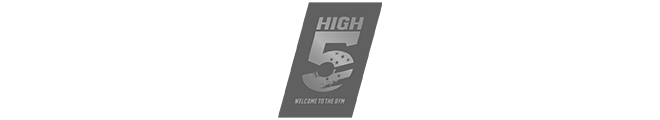 High 5 Logo