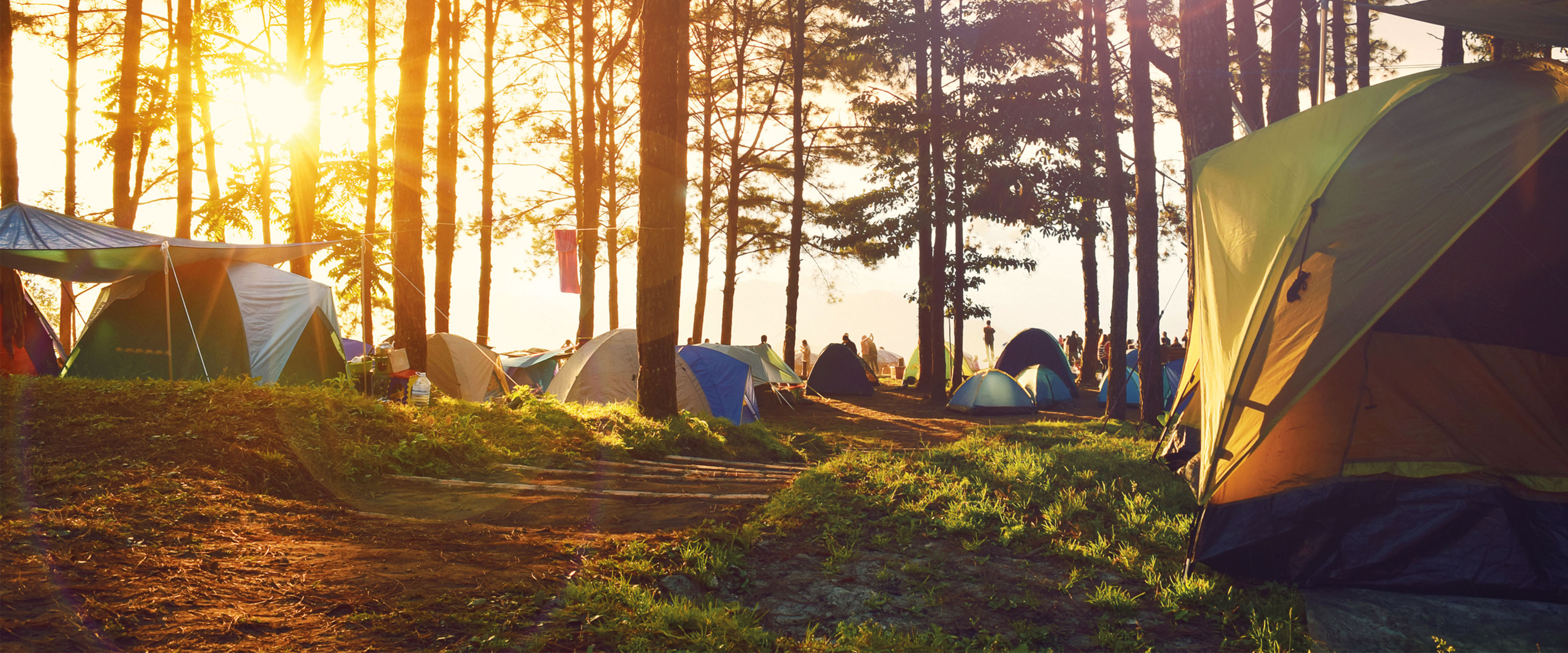 Zelte stehen in einem sonnendurchfluteten Wald bei Sonnenaufgang, Menschen genießen die Natur und das Camping.