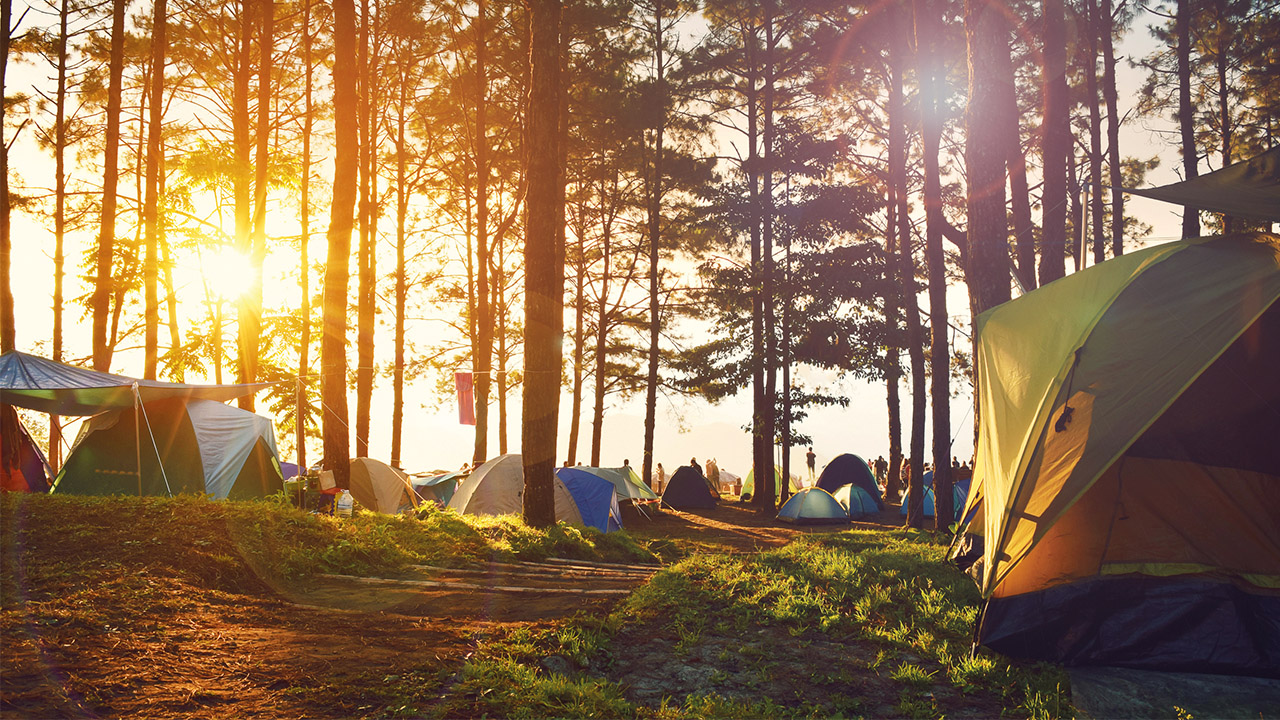 Zelte stehen in einem sonnendurchfluteten Wald bei Sonnenaufgang, Menschen genießen die Natur und das Camping.